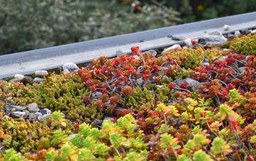 the cost of Henton green roof installation