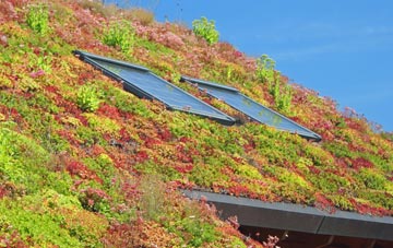 Henton living roof systems