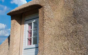 Henton thatch roof disadvantages