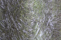 Henton fibreglass roof work